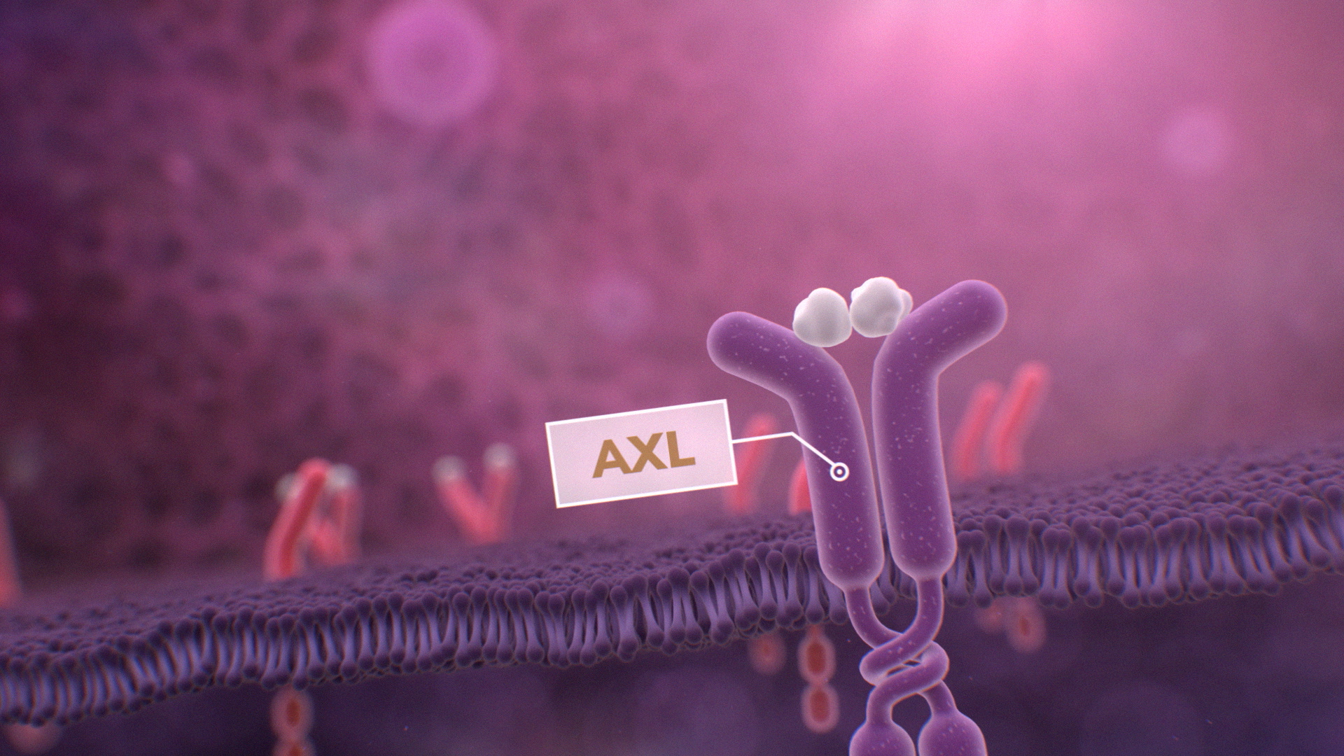 Treatment Unfold Inside the Bone Marrow