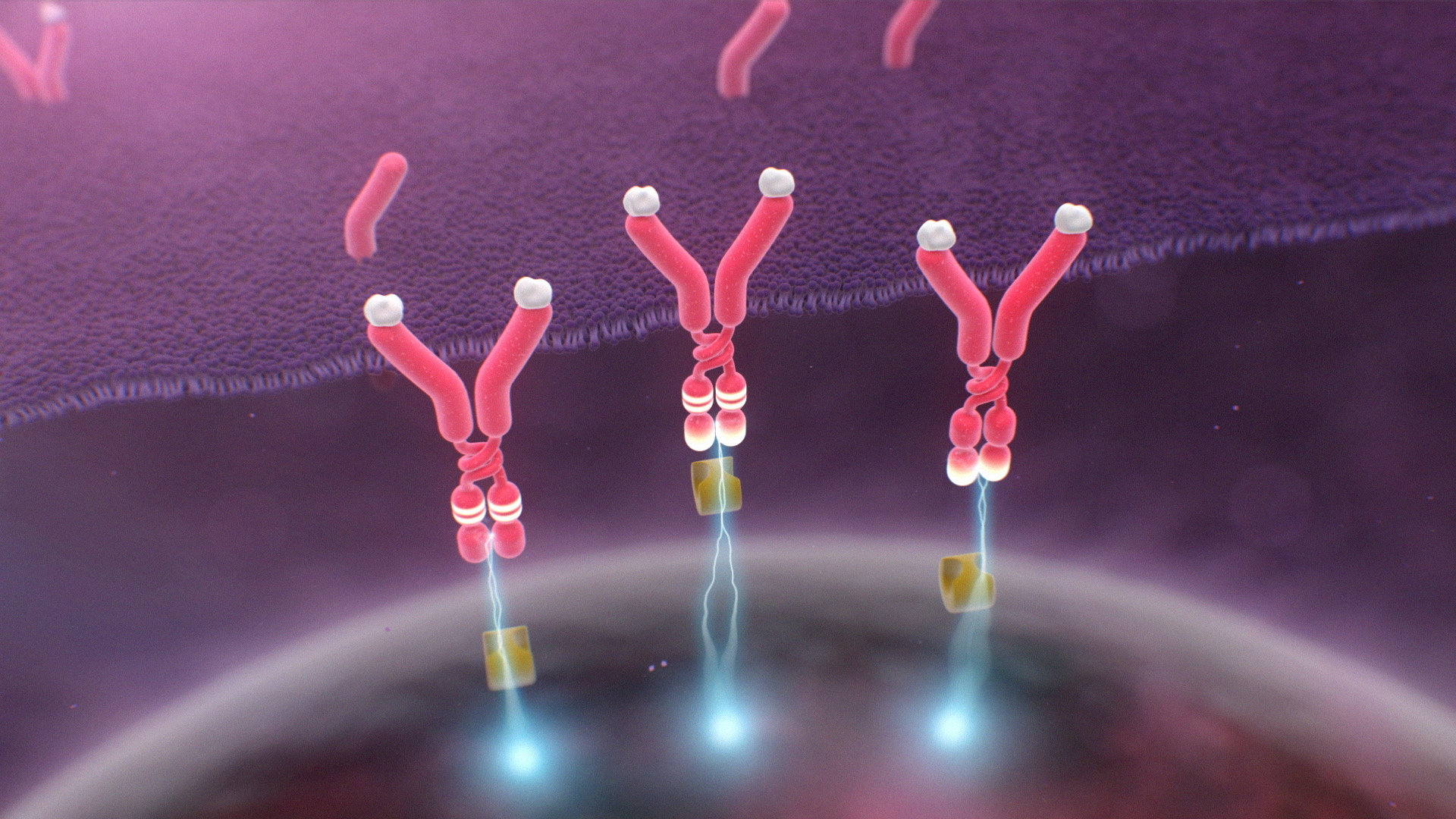 Treatment Unfold Inside the Bone Marrow