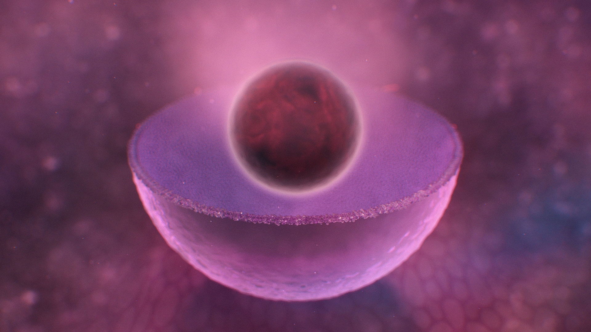 Treatment Unfold Inside the Bone Marrow