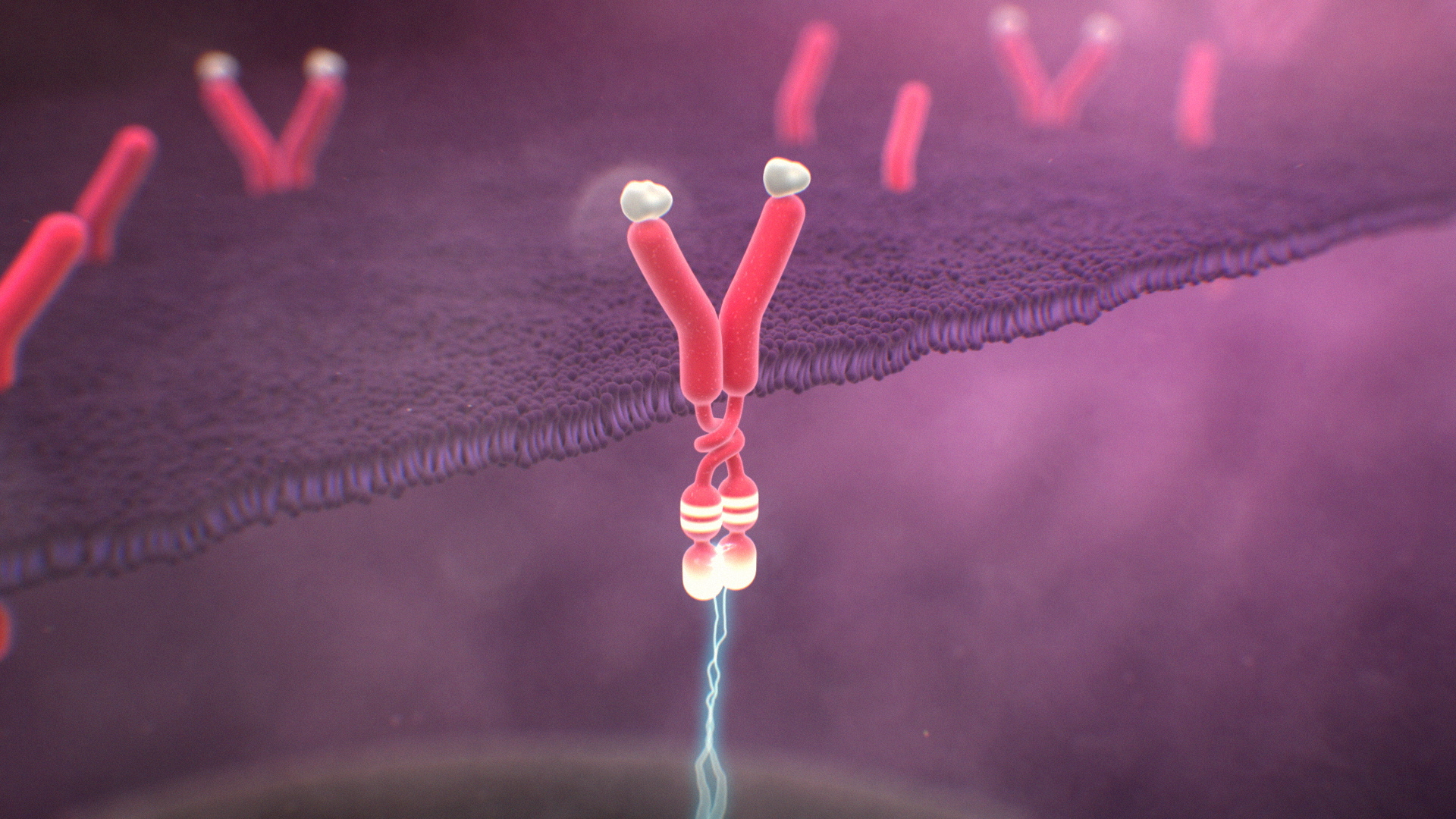 Treatment Unfold Inside the Bone Marrow