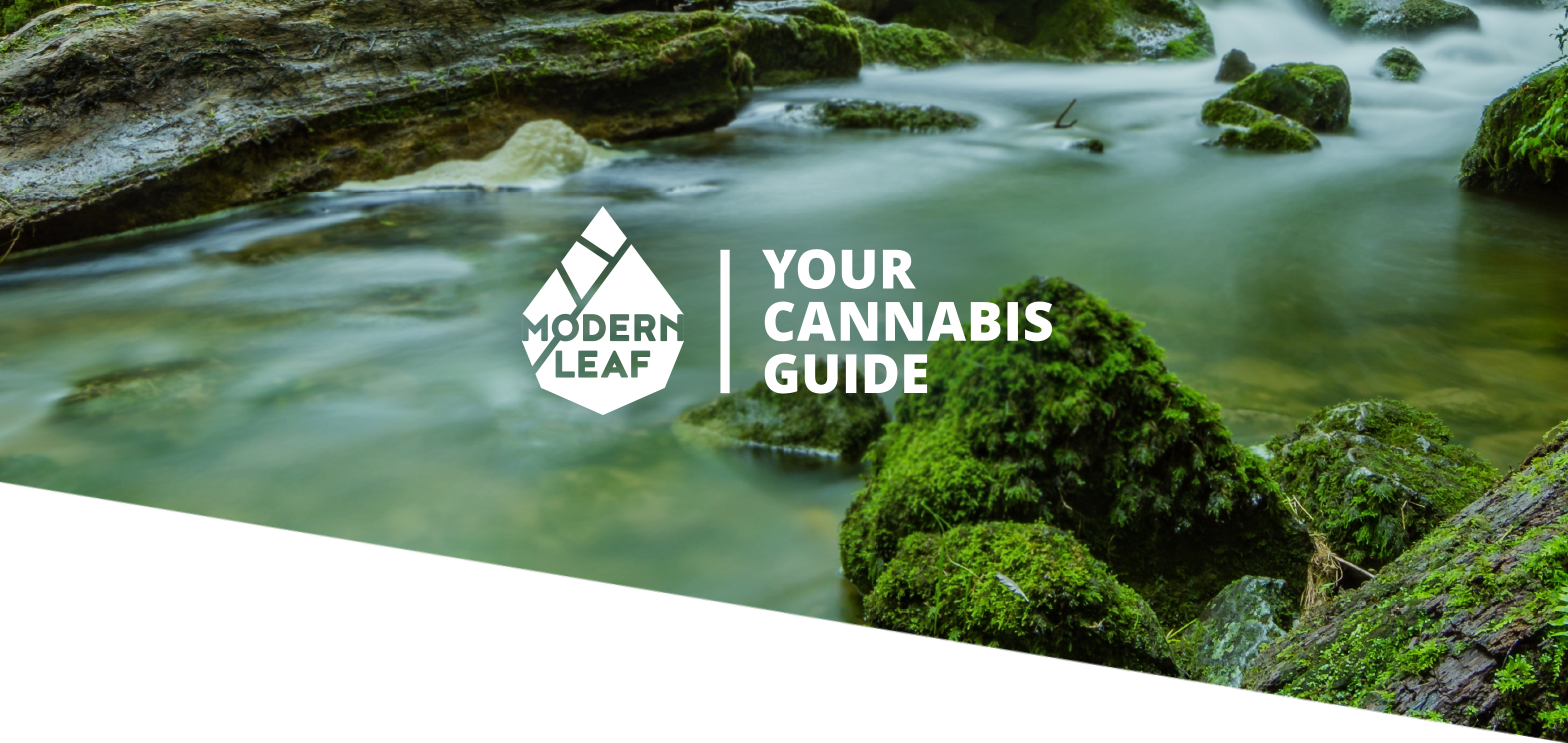 Educating Responsibly: Building a Cannabis Brand