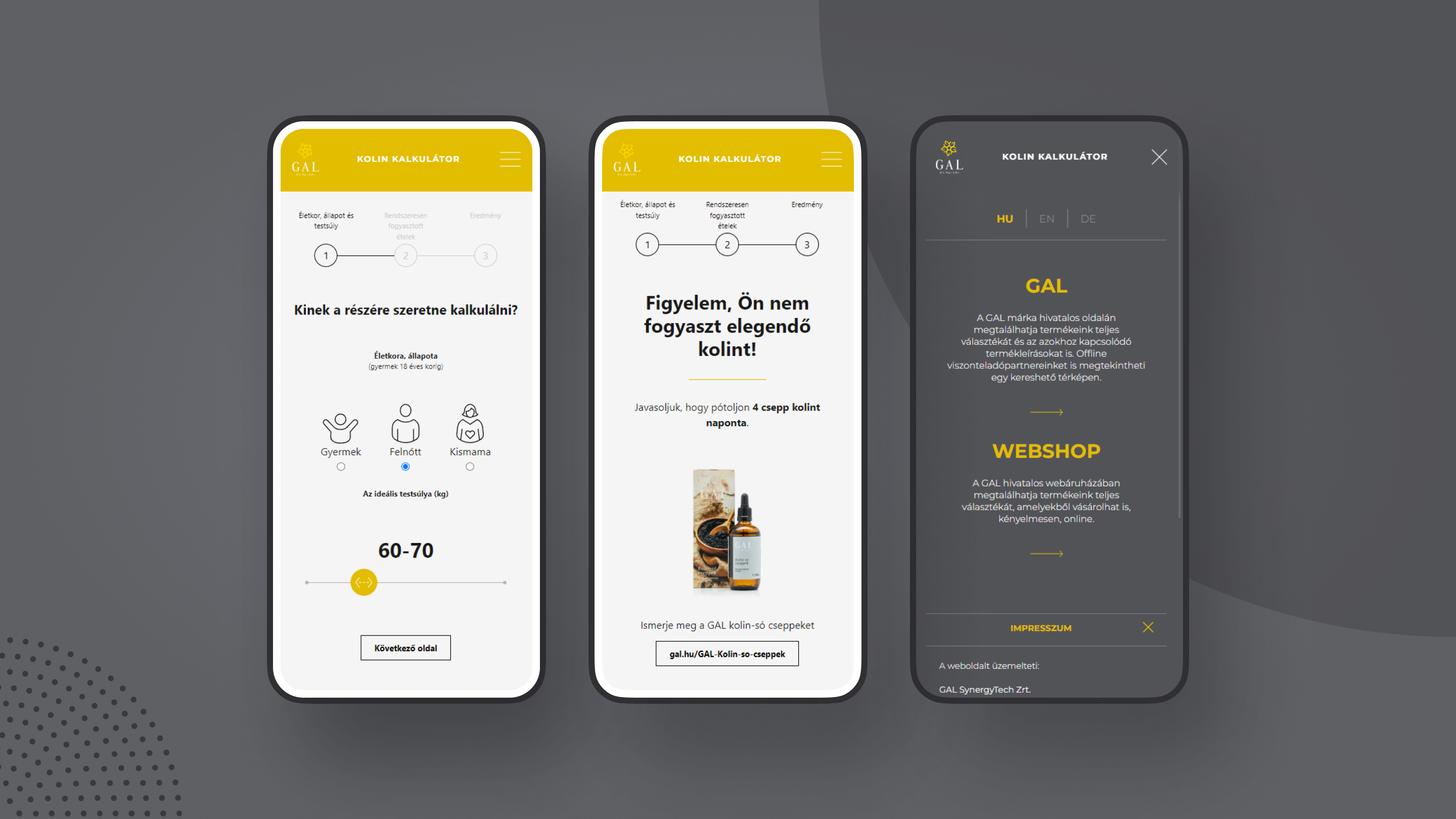 Creating Impactful Websites for GAL Vital