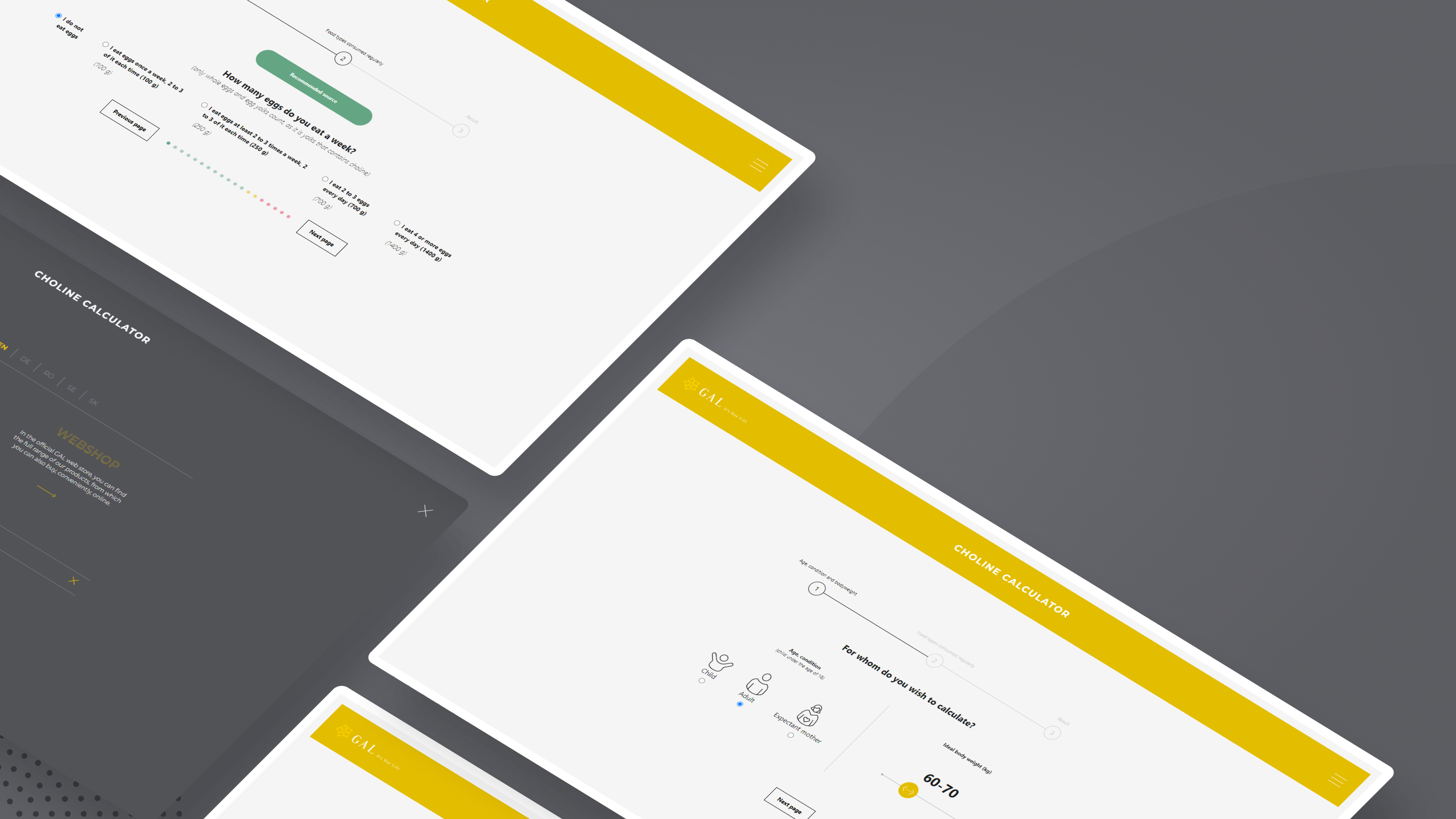 Creating Impactful Websites for GAL Vital